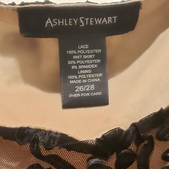 Black and Beige Sheer Embroidery Dress - Picture 3 of 9